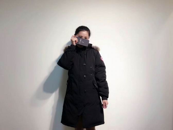 canada goose-001